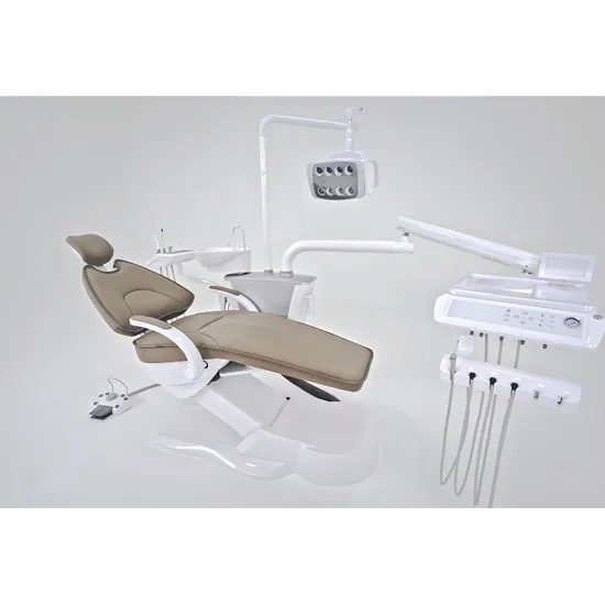 Lk-N21 Dental Low Speed Handpiece Kit OEM Alivable