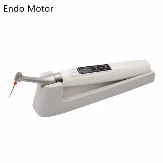 Guangzhou Dental Equipment Ai Automatischer Wurzelkanalvorbereitungsmodus mit Apex Locator